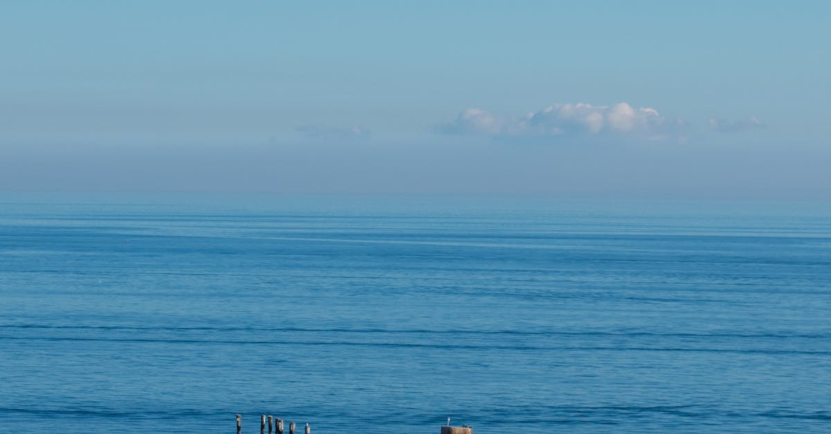 Choosing the Right Pressure Washer for Epoxy Surfaces