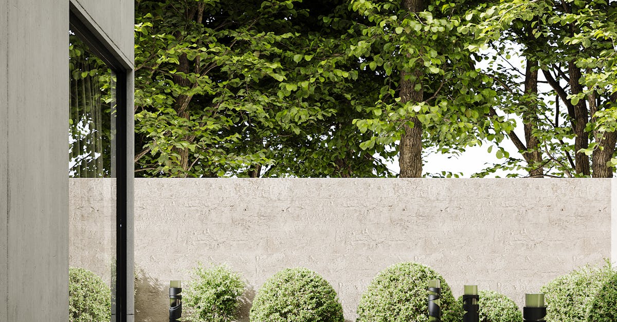 Water-Saving Techniques for Eco-Friendly Patio Care